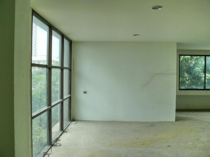 P1000054.JPG - Left: The windows against the eastern wall. Behind the perpendicular wall will be the guest bathroom and laundry.

Right background: A bit of the southern window.