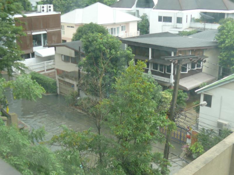 P1000368.JPG - A few of the street below the condo.