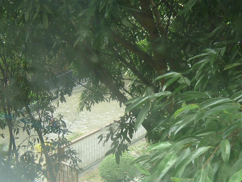 P1000370.JPG - Another view of the street. You should have seen my sneakers after I waded across the street! (I have to get myself flip flops to keep in my backpack for the rare storm.) I arrived at the condo just after the storm had dumped most of the precipitation. By this evening the street should have drained.