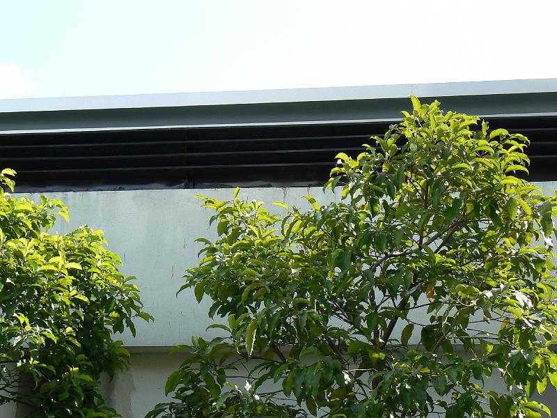 P1010968.JPG - More of the super roof.