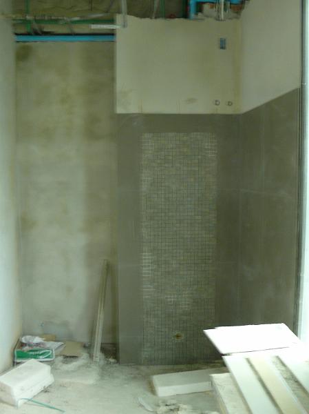 P1000528.JPG - Wider view of the guest bath's western wall.