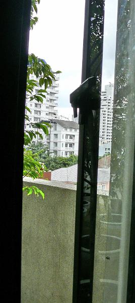 P1000535.jpg - Another view.