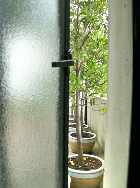 P1000536.jpg - Looking through the bedroom casement window onto the north deck.