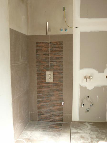 P1000590.JPG - The guest bath shower area is tiled.