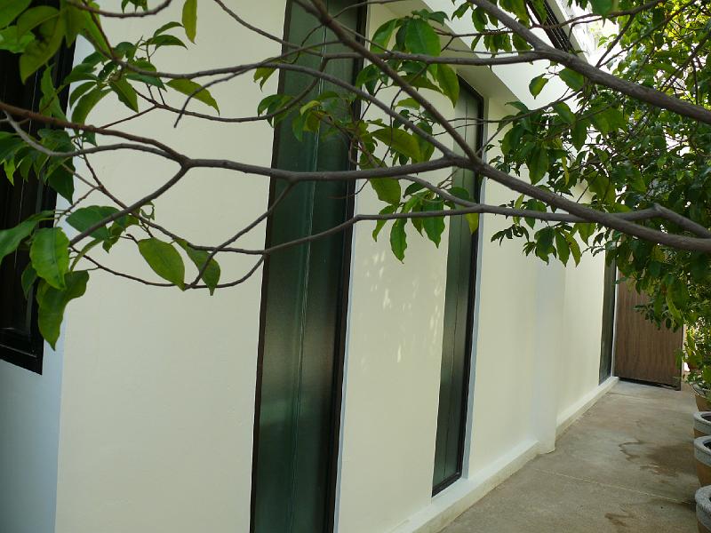 P1000624.JPG - The potted plants are even greener when viewed against a fresh coat of paint.