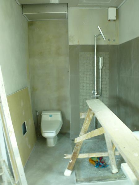 P1000671.JPG - The toilet's been installed in the master bath.