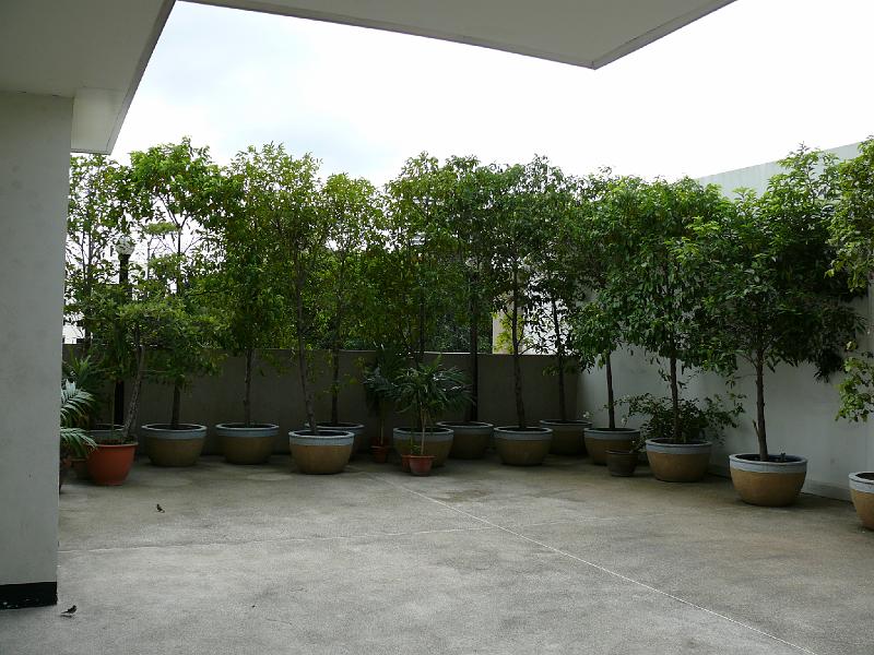 P1000040.JPG - The eastern patio. (Entrance to the condo is on the right.)