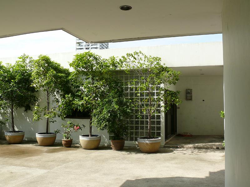 P1000140.JPG - The northern wall of out unit is lined with tall potted trees which delineate a promising patio area which continues along the eastern wall above Soi 53.