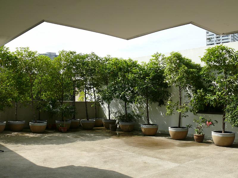 P1000142.JPG - A wider view of the northeastern patio space.