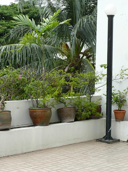 P1000271.JPG - More of the western patio.