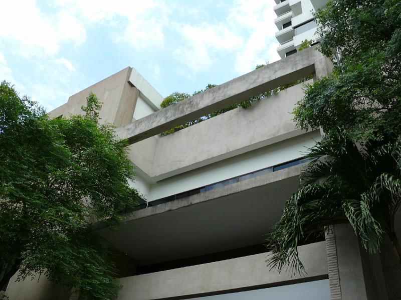 P1000080.JPG - This area is right above the pedestrian entrance to the building's lobby. Our condo is on the upper floor to the left above the tree.