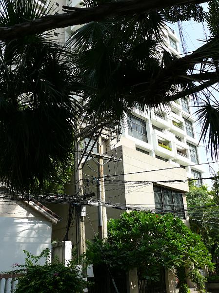 P1000131.JPG - A view of Habitat through the trees lining Soi 53.