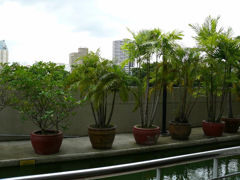 P1000036.JPG - Looking eastward toward Thong Lo. A closer view of the reflecting pool and potted plants.